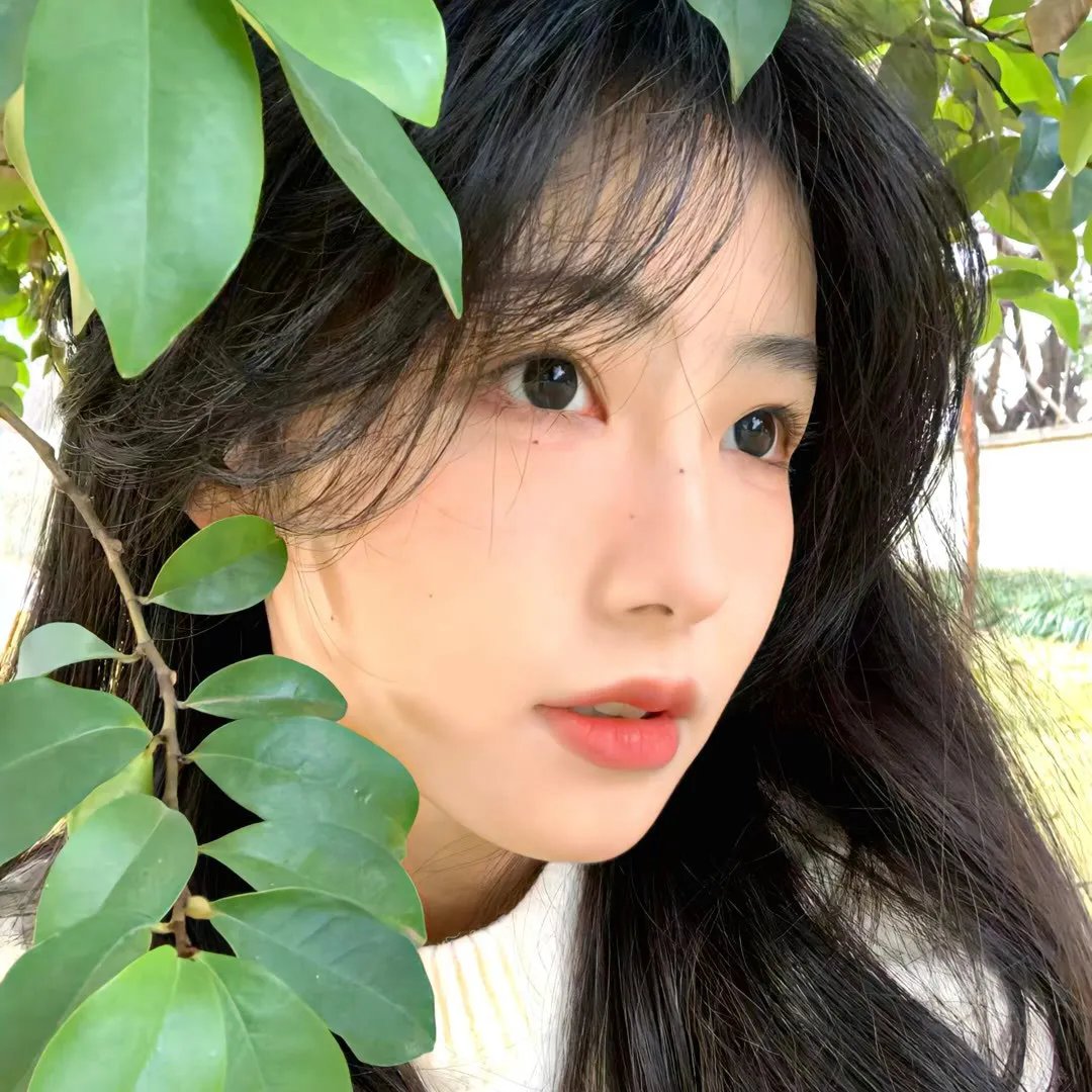 钢琴之森